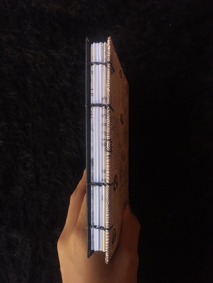 Roturas Temporales tweet media