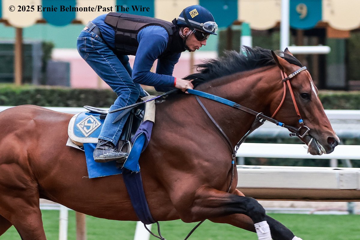 Eagles Flight (4F: 48.60 H) working this morning.