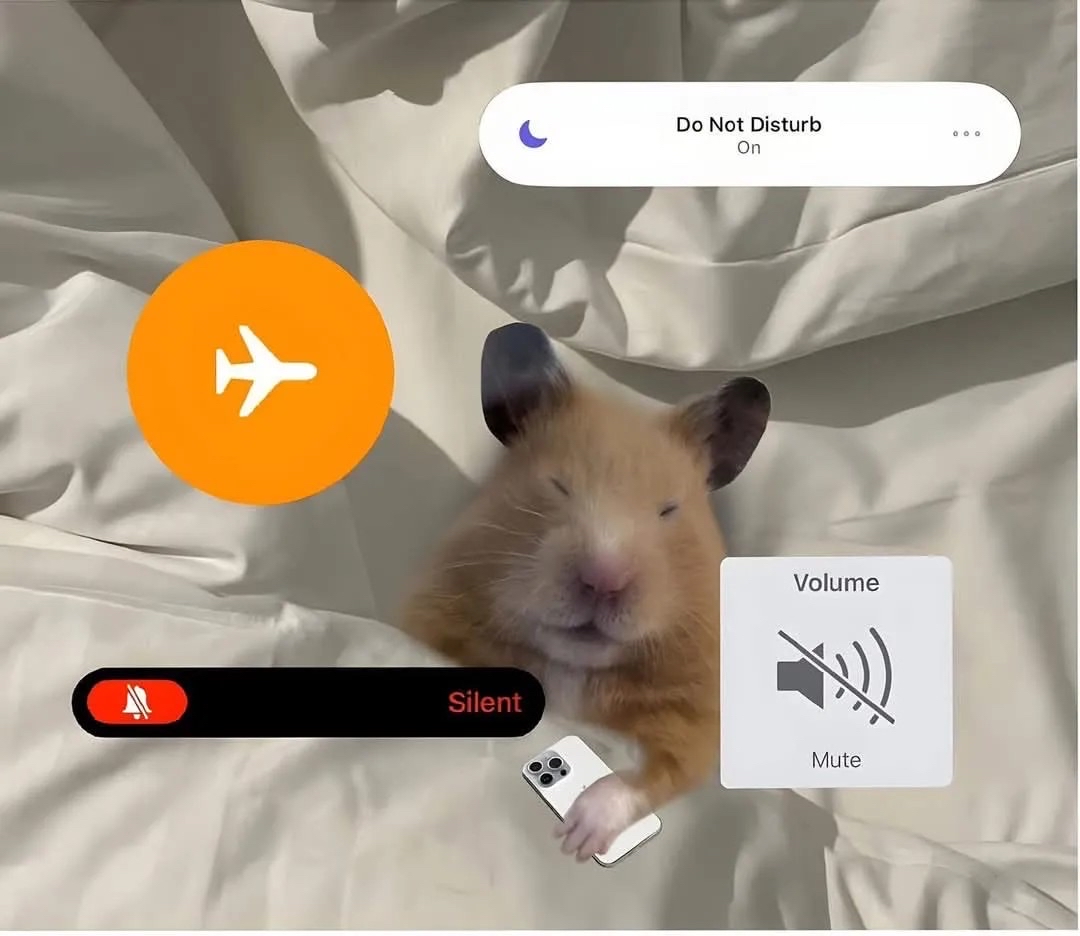 Guarromantico_'s tweet image. “Si me necesitas, solo llámame”

Yo: