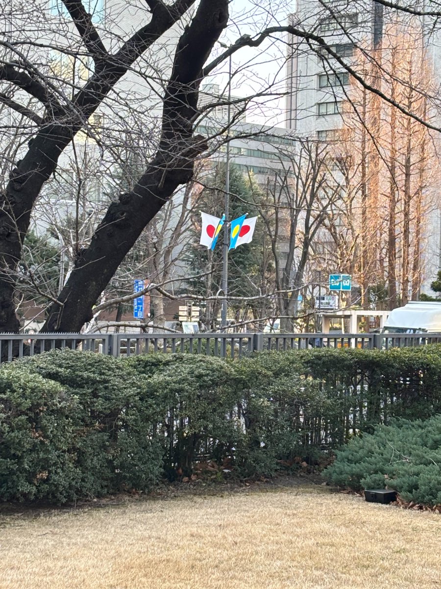 OfPalau's tweet photo. ウィップス大統領の訪日を歓迎するパラオ・日本国旗が掲げられています🇵🇼🇯🇵 https://t.co/WZvkymsPfe