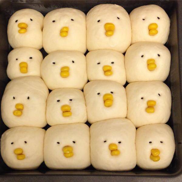 막찌개 (@0kusi_) on Twitter photo 