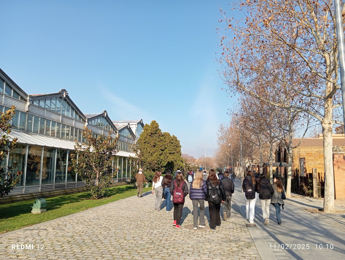 🌿✨ Visita al Palacio de Arganzuela con 3º ESO C dentro del programa Madrid, Libro Abierto. Exploramos plantas de climas tropicales, subtropicales y desérticos mientras descubrimos una joya de nuestra ciudad. ¡Una experiencia enriquecedora! 🌵🌴