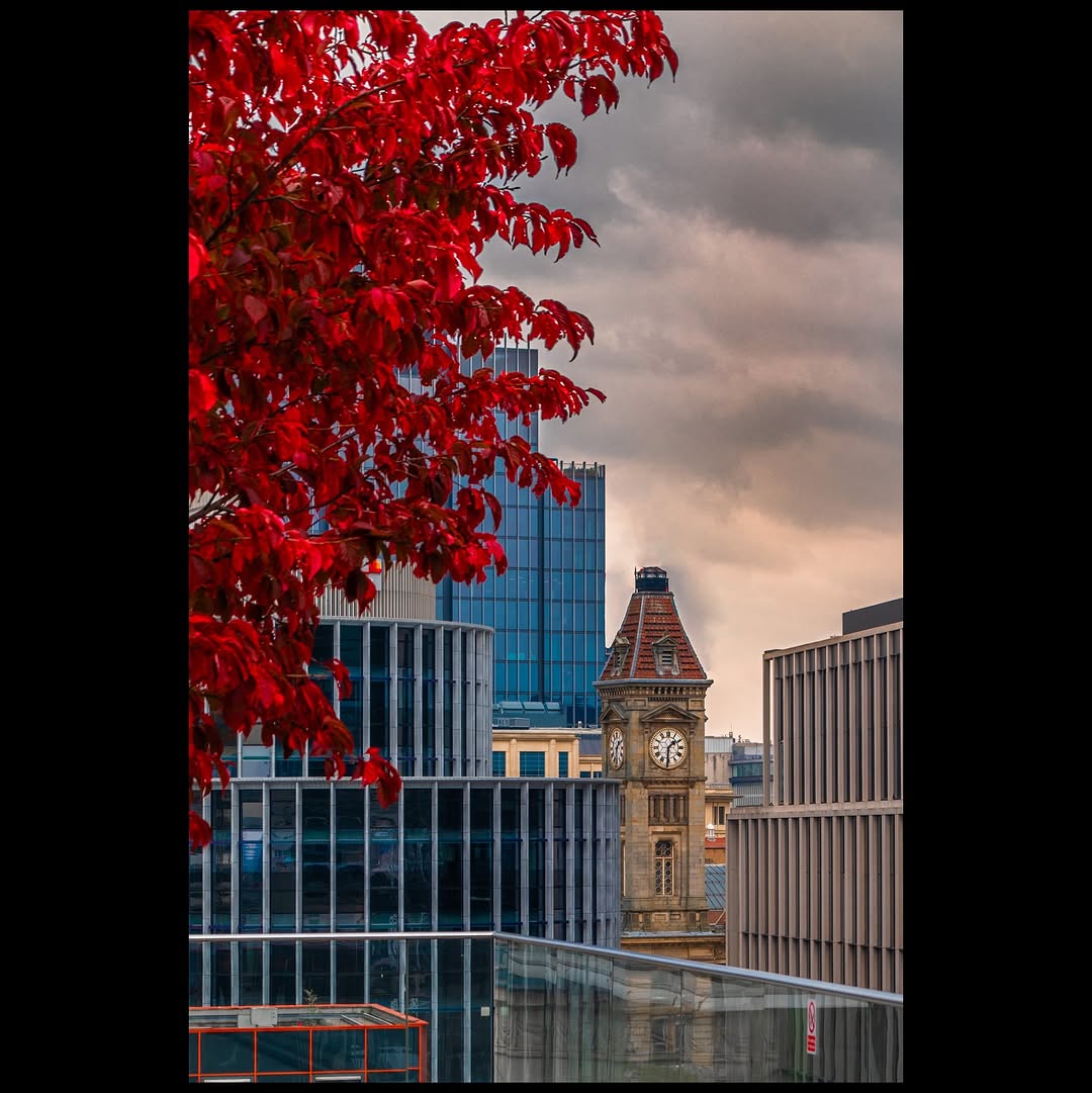 City views 😍🏙️

📷 the_light_raven_photography on Instagram