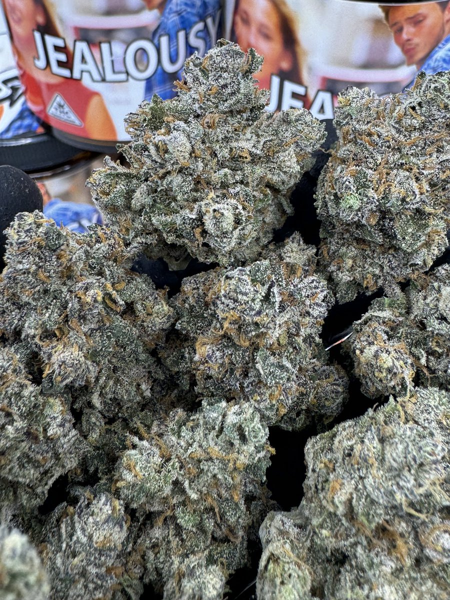 MY LATEST SMALL BATCH HAUL, ACQUIRED IN NYC ADDITIONAL IMAGES OF EACH STRAIN ARE ON MY PAGE IF YOU WANT TO RUB ONE OUT
*NOT FOR SALE*

(Part 2)
*Pictured Above In Order*
GELONADE
RAINBOW BELTS
JELOUSY

PHOTO CRED 📸: @the_smacktographer
