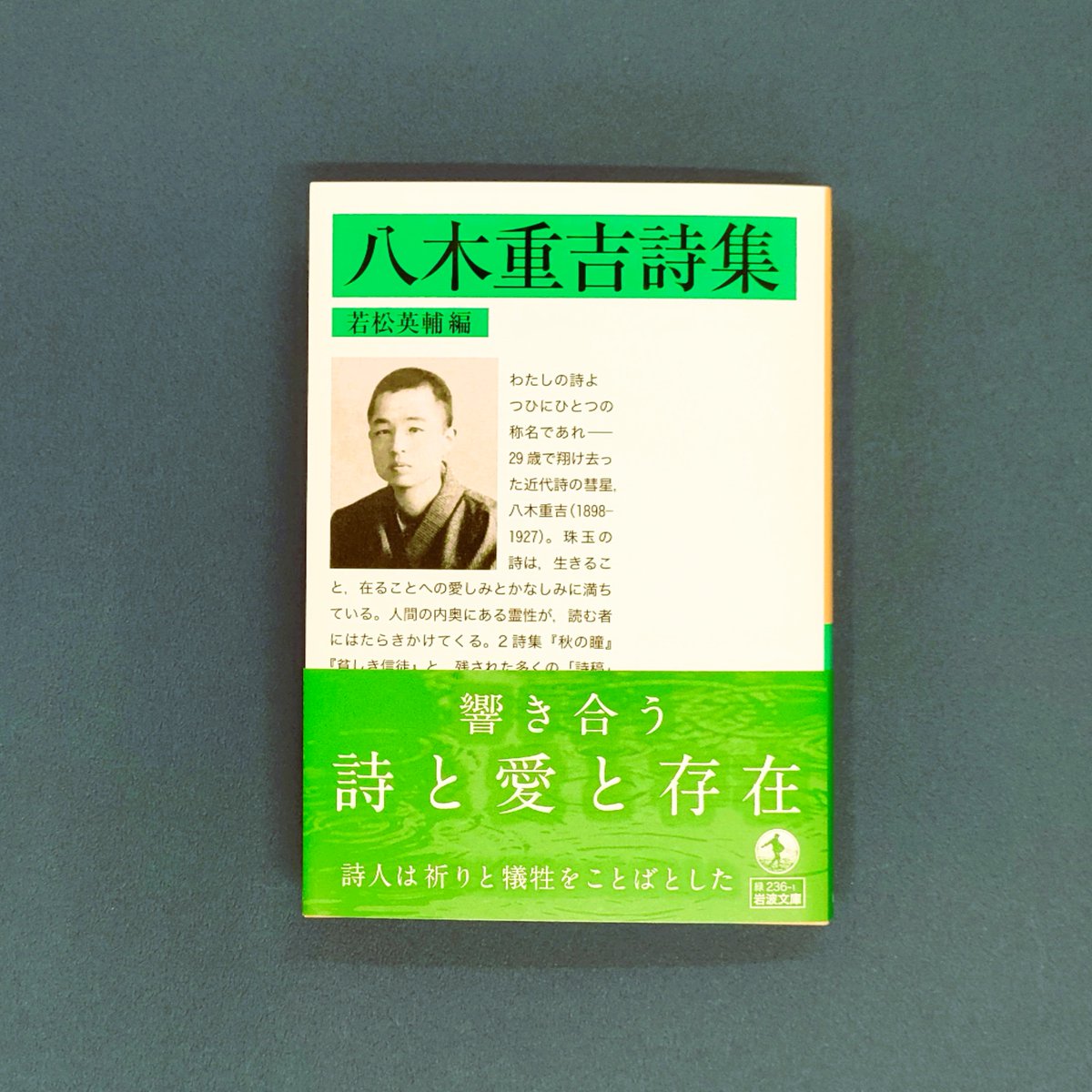 八木重吉全詩集　ちくま文庫　初版　全２巻揃い　帯付