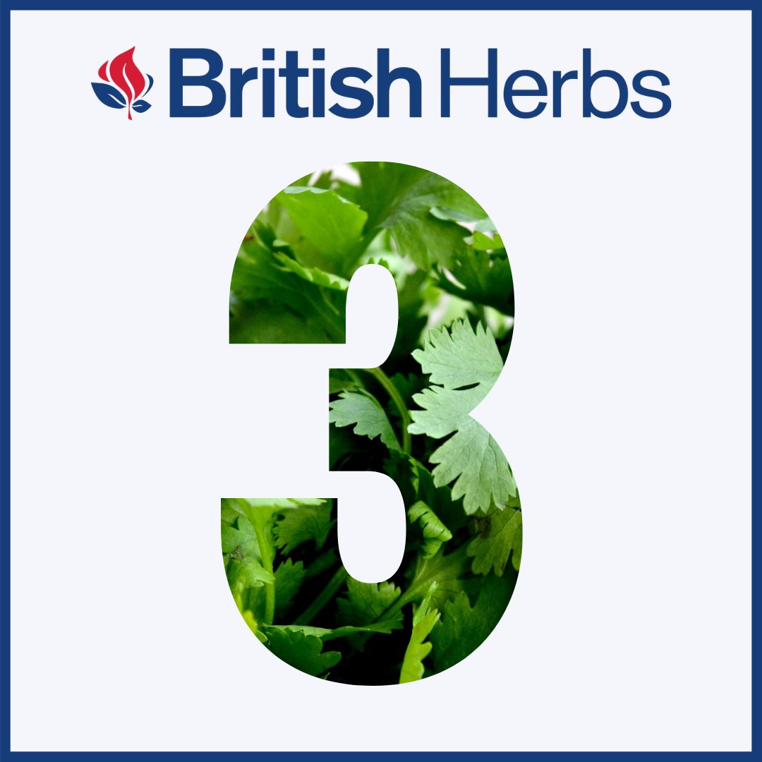 British Herbs tweet media