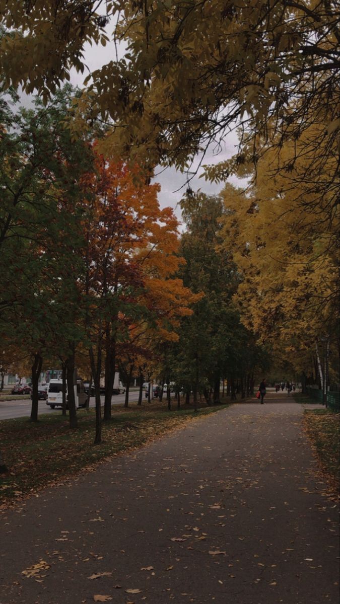 autumn girl tweet media