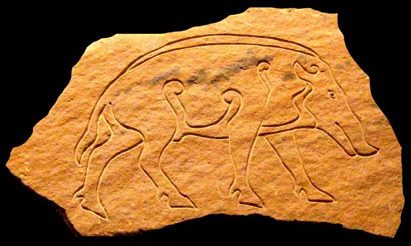 Absolutely, aye. The Pictish stone carvers had only ever seen wild boar on TV.