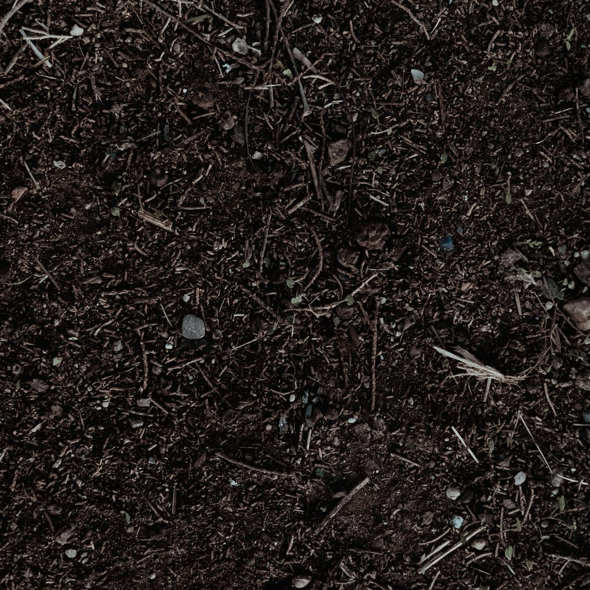 🌱 Exciting research alert! Our #SoilScience dream team at the Volcani Institute has published a study on compost load’s effects on soil organic matter. Discover how #Compost impacts soil health in #semiarid regions. doi.org/10.1002/saj2.7…
 #Sustainability