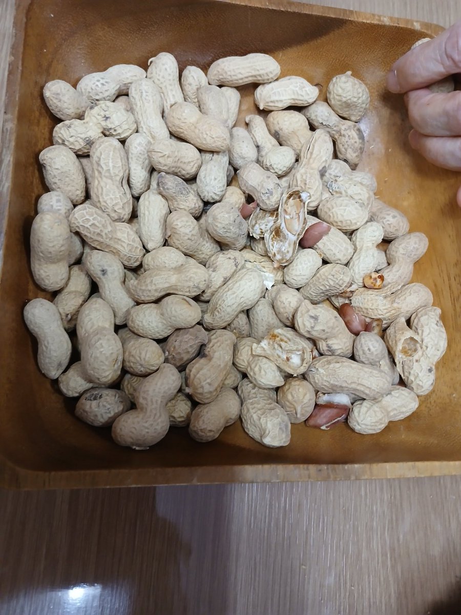 그냥 지나가려니  서운해서 오곡밥과 7가지 나물 볶아서  점심 먹자.  매운탕도 맛있게 끓고 있고.