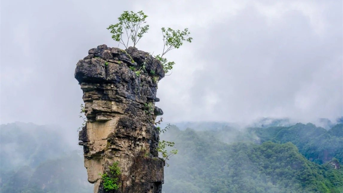 IMTAOFFICIAL's tweet photo. 🌄A Journey Through Guizhou's Shibing Yuntai Mountain: Nature, Adventure, and Culture  

Nestled in #Shibing County, #Guizhou, Yuntai Mountain is a breathtaking natural wonder, renowned for its stunning karst landscapes and pristine ecology. As part of the South #China Karst UNESCO World Heritage Site, it boasts towering cliffs, lush forests, and crystal-clear waters, making it a paradise for nature lovers and adventurers.  Among its highlights are the magnificent Danxia cliffs, with sheer rock faces contrasting against verdant surroundings. 

Nearby, the Shanmu River Scenic Area, known as a "natural oxygen bar," offers exhilarating rafting through deep canyons, earning the title "China’s No.1 Drift." The Heichong Scenic Area, with its dramatic canyons, karst caves, and sinkholes, blends geological marvels with red cultural heritage, appealing to both explorers and history enthusiasts.  

With its spectacular landscapes, rich biodiversity, and thrilling outdoor experiences, Yuntai Mountain in Shibing is a must-visit destination for those seeking the untouched beauty of Guizhou’s karst world.  

📷Image source: @走遍中国县城, from RedNote  

🖊Editor Ⅰ: Stella
🖊Editor Ⅱ: Helen 
🖊Editor Ⅲ: Liu Guosong  #IMTA#MountainTourism 

#ShibingYuntaiMountain #Guizhou #BaiyunRockKarst #ShanmuRiver #NaturalOxygenBar #HeichongScenicArea #GeologicalLandscapes #CulturalHeritage #AdventureTravel #MountainScenicAreas