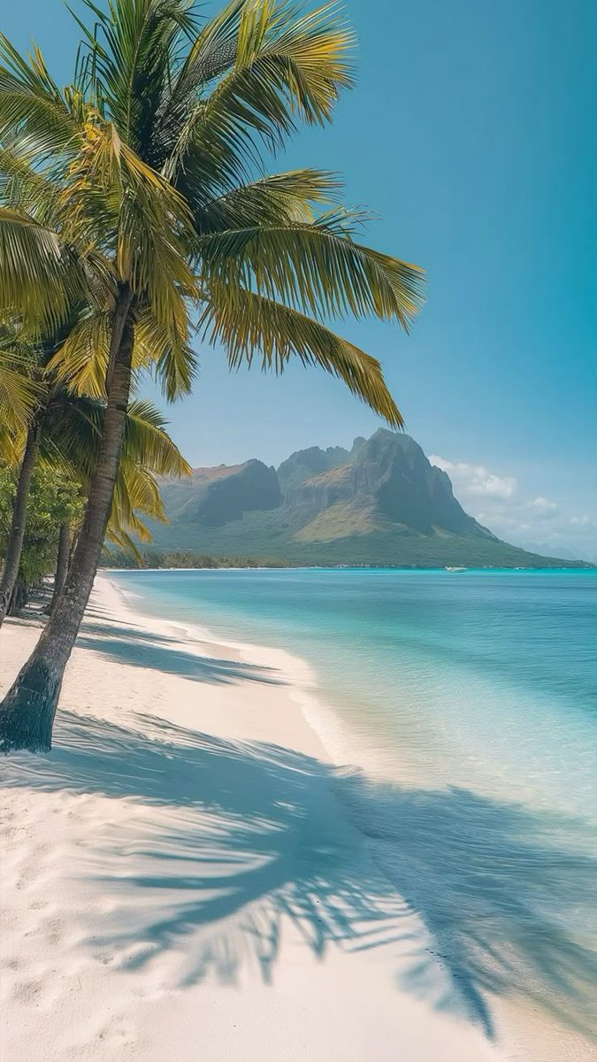 turquesa_711's tweet image. 🩵