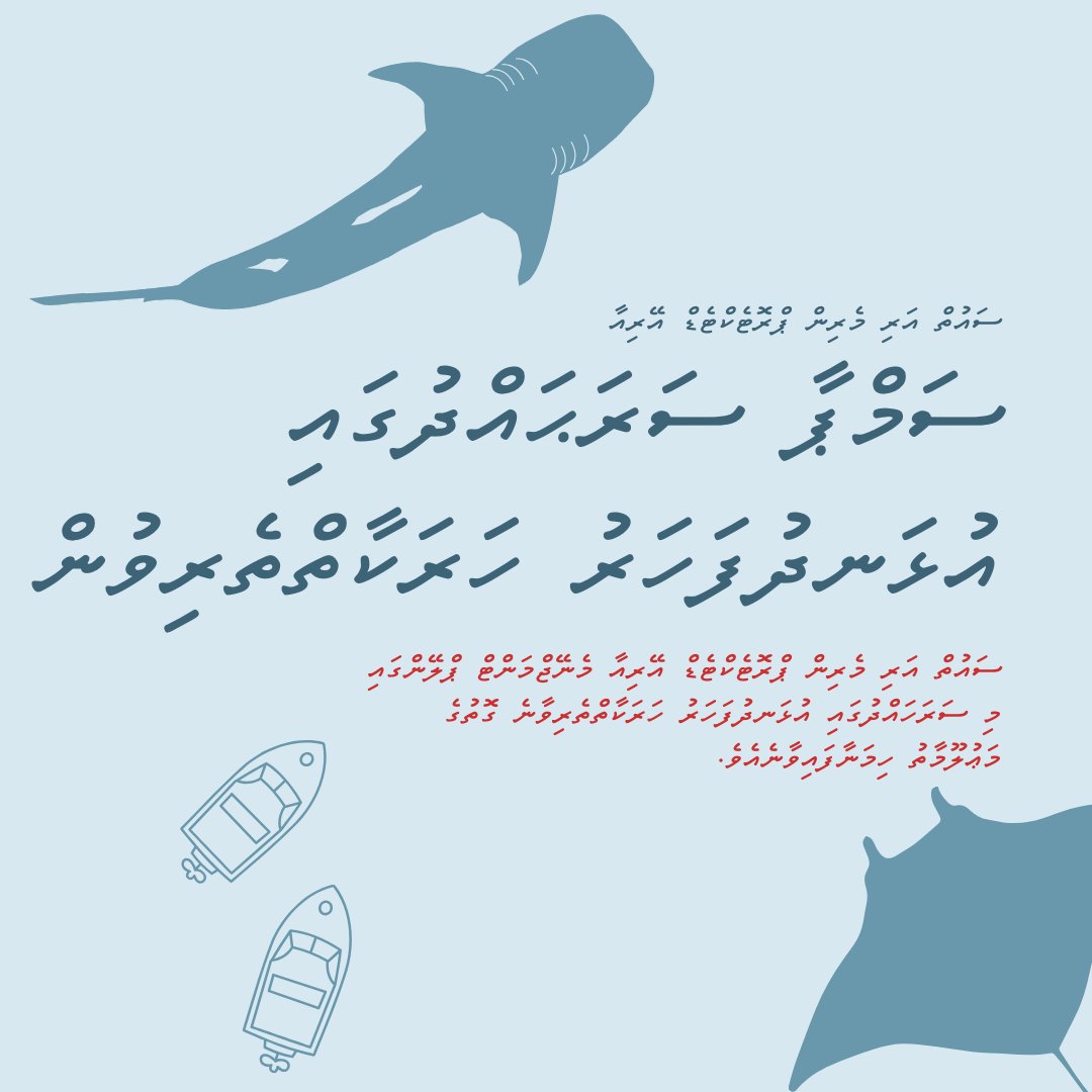 pcamaldives's tweet photo. Safety in SAMPA starts with responsible boating! Let’s respect the speed limits in SAMPA to safeguard marine life and ensure the safety of visitors. https://t.co/owJtgErJVp