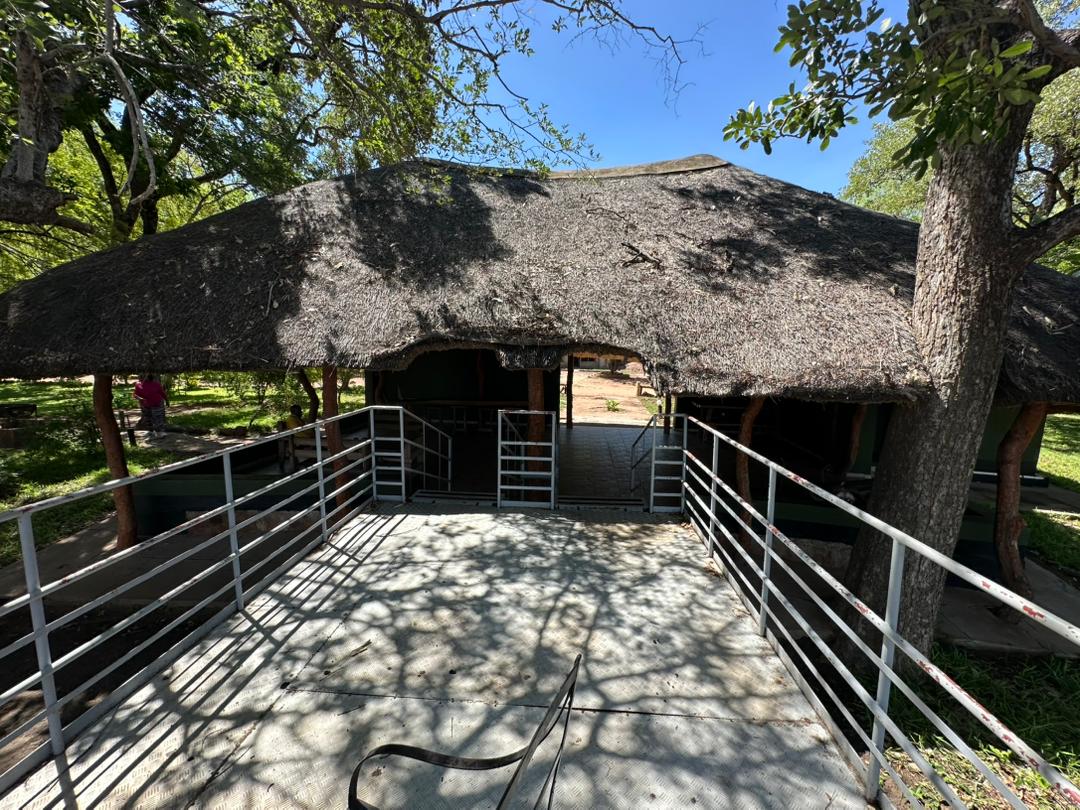 Kumbirai Chipadza tweet media