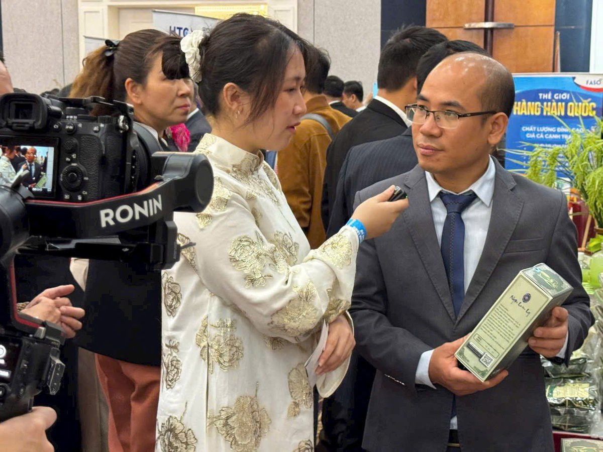 Trần Thị Quỳnh Anh tweet media