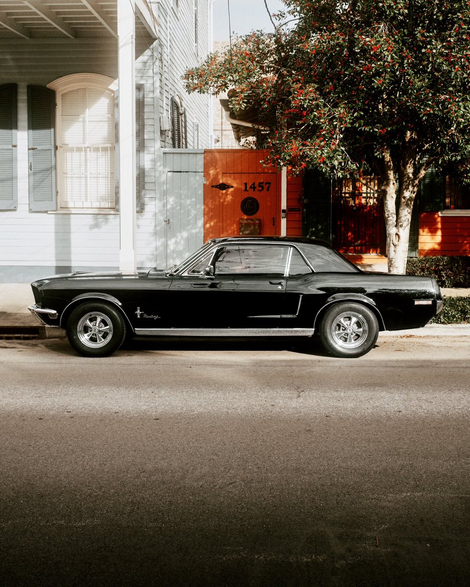 Of The Trees tweet media