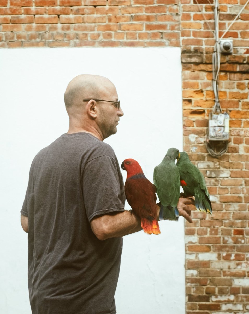 Of The Trees tweet media