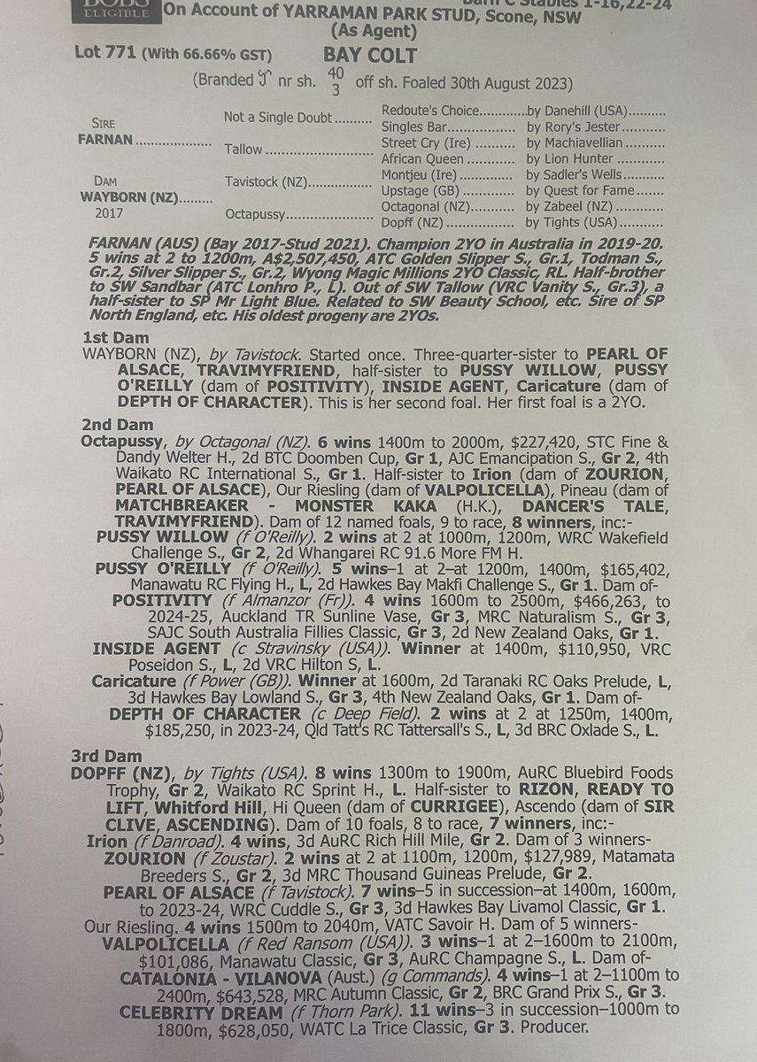 Had to wait till last day of Inglis classic sales  to pick up this racy colt by Farnan winner of the Golden Slipper  x/rays good , lots of black type on dams side