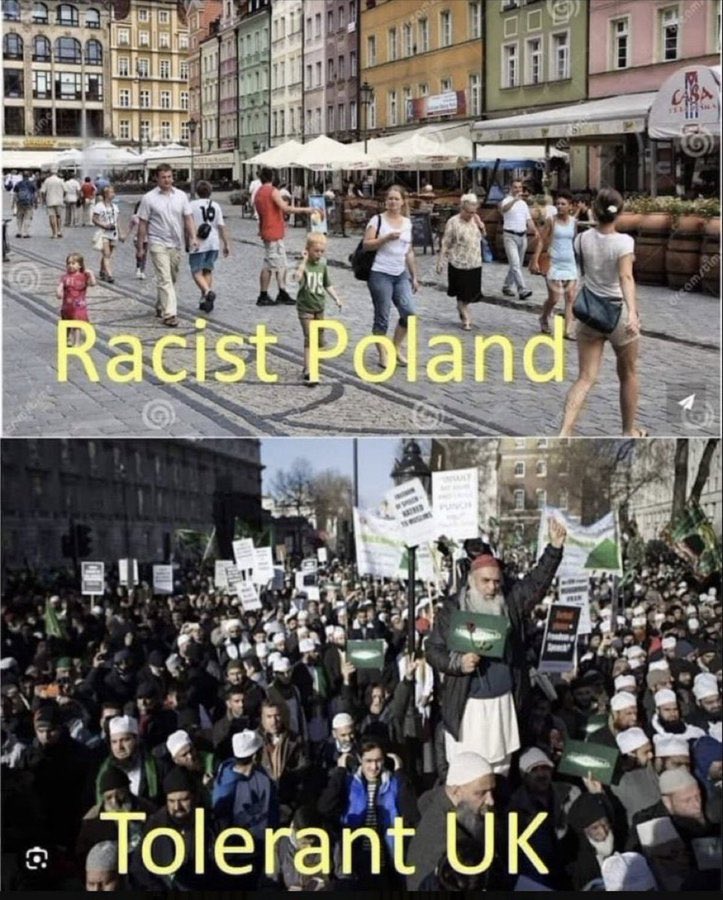 GarbageHuman24's tweet image. 