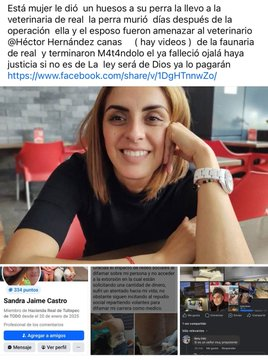 Diablo Sayayin tweet media