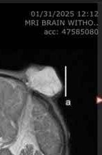Kor_sol's tweet photo. @NoxxSurgeryFund dumb asses cant read and let dumb people fud https://t.co/oXxufE15Bm