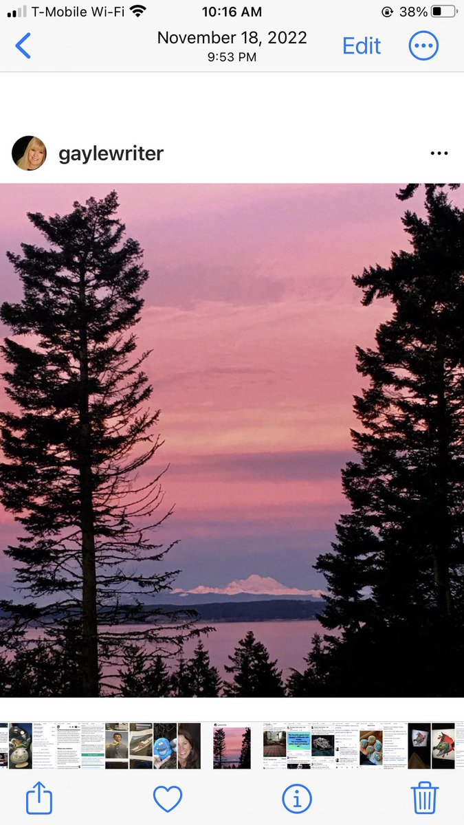 GayleWriter's tweet photo. @Matt_Pinner :) PNW #islandtime https://t.co/7sZVF8y1GK