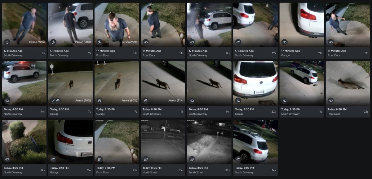 Mike Lamberti tweet media