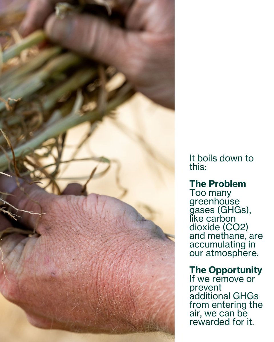 Turning sustainability into opportunity! 🌿💡

Everyone seems to be talking about carbon credits, but what are they and how do they work?

Get the full breakdown on carbon credits and their impact on the environment. 🌍

👉 Read our latest article here: ow.ly/ApWU50UYisv