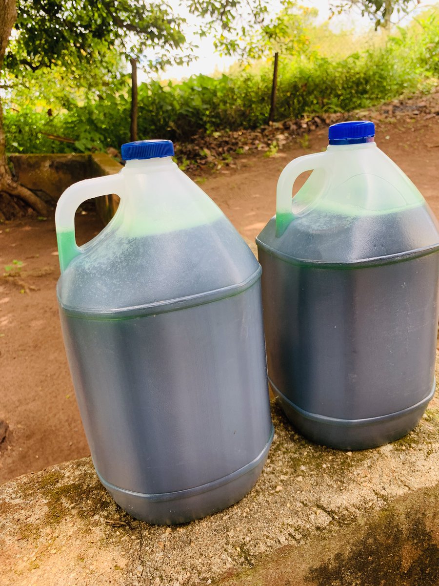 MbalenhleSacolo's tweet photo. Sanibonani. My name is Nelizwe Sacolo and I make liquid soaps and polish . Please help me market my liquid soap and polish through reposting . 1L liquid soaps are E20 and 5L are E105. Polish is E25 per 500ml and E50 per 1L.  I also do bulk supplying 🙏#tinitwitter https://t.co/sFm4mrkqom