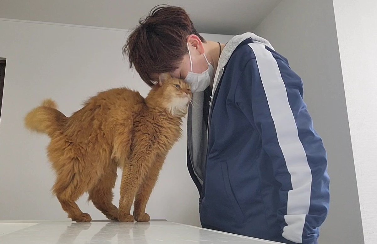 めかぶ様へ♥8/26 花火大会 お姉ちゃんが髪の毛も着付けも全部やってくれた🤍