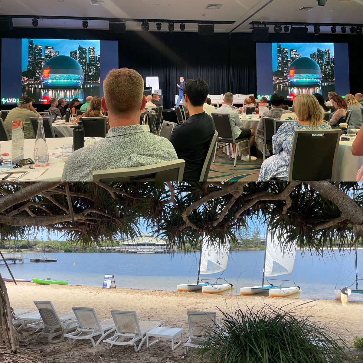 Amanda Cassar tweet media