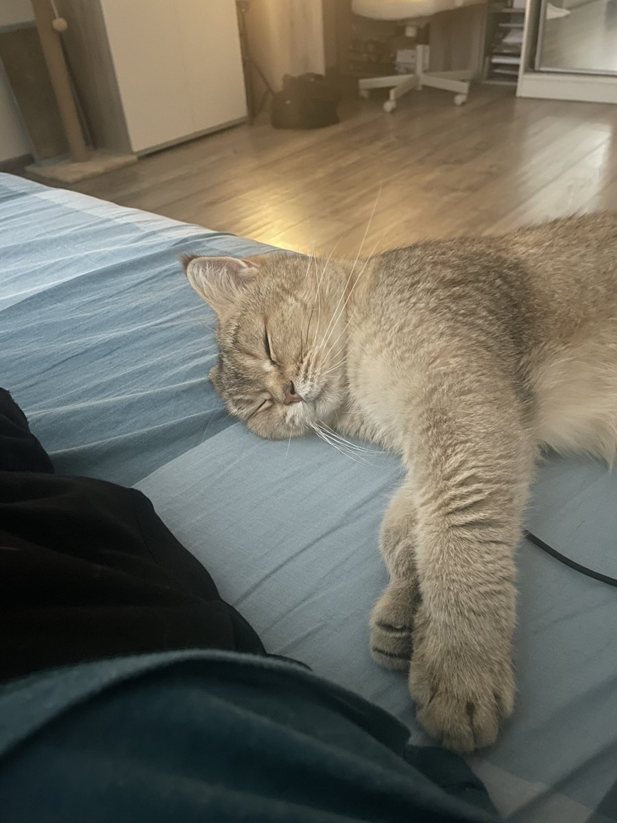 Сладуля моя спит ♥️