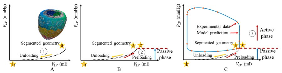 MDPIEngineering's tweet image. 🔬 Excited to share the publication "Comparison of Left Ventricular Function Derived from Subject-Specific Inverse Finite Element Modeling Based on 3D ECHO and Magnetic Resonance Images" 👉 mdpi.com/2306-5354/11/7…

#3D_ECHO #MRI #ventricular #mechanics #computational_modeling
