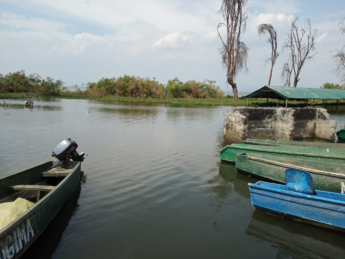 tilmansafaris's tweet photo. Another beautiful day on the serene shores of Lake Naivasha where the gentle waves and light breeze make every boat ride an unforgettable adventure.
The thrill of the ride and tranquility of the moment never disappoints📷.
#BoatRide.
#NatureEscape.
#ExploreKenya. https://t.co/MgkkGNeXMT