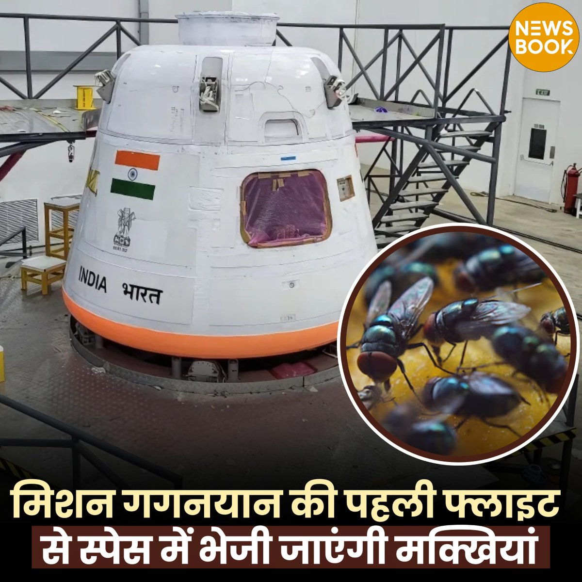 NewsBookMedia's tweet photo. टाटा इंस्टीट्यूट ऑफ फंडामेंटल रिसर्च के वैज्ञानिक अंतरिक्ष में फ्रूट मक्खियों को भेजने की तैयारी कर रहे हैं. बता दें कि यह मिशन गगनयान-1 के तहत भेजा जा रहा है.

#Space #IRSO #Gaganyan #MissionGaganyaan https://t.co/KSfTIUxuha