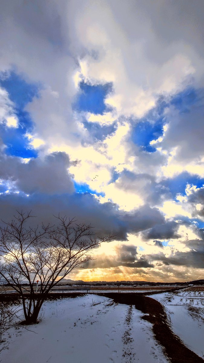 mvkqV4BWpFRLset's tweet image. 🌥️上空🦢白鳥眺め🙇‍♂️🍃久しぶり光のシャワーへ🚙