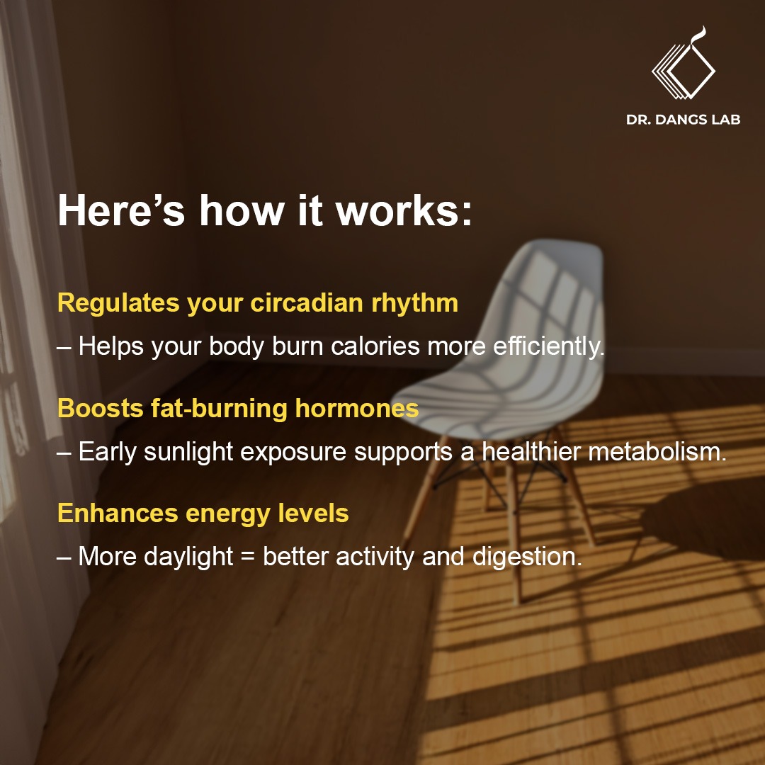 drdangslab's tweet image. 🌞 Morning Sunlight = Faster Metabolism &amp;amp; Fat Burn! 🌿✨

Just 10–20 mins of sunlight can boost energy &amp;amp; weight loss! Step outside &amp;amp; feel the difference.

📖 Ref: PMC10056135 | PMC10244810 | PMC9590398
#MorningSunlight #WeightLossTips #DrDangsLab