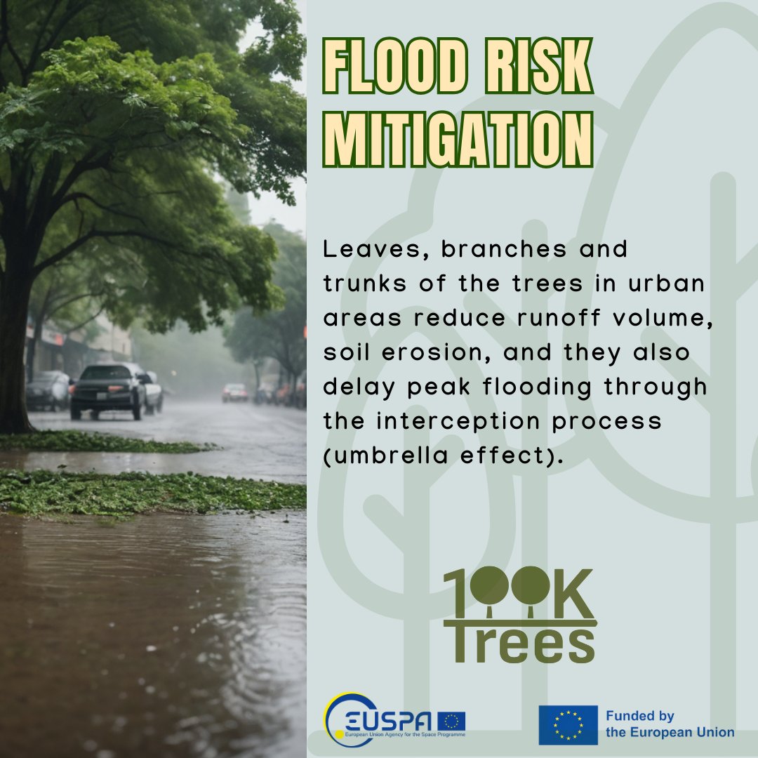 100KTREES (@100ktrees_eu) on Twitter photo #DYK trees help manage #water and prevent #flooding? ☔️
🌳Leaves, branches, and roots reduce runoff, improve soil permeability, and return #rainwater to the air via #evapotranspiration.
<a href="/EU4Space/">🇪🇺 EUSPA - EU Agency for the Space Programme</a> #DYK trees help manage #water and prevent #flooding? ☔️
🌳Leaves, branches, and roots reduce runoff, improve soil permeability, and return #rainwater to the air via #evapotranspiration.
<a href="/EU4Space/">🇪🇺 EUSPA - EU Agency for the Space Programme</a>
