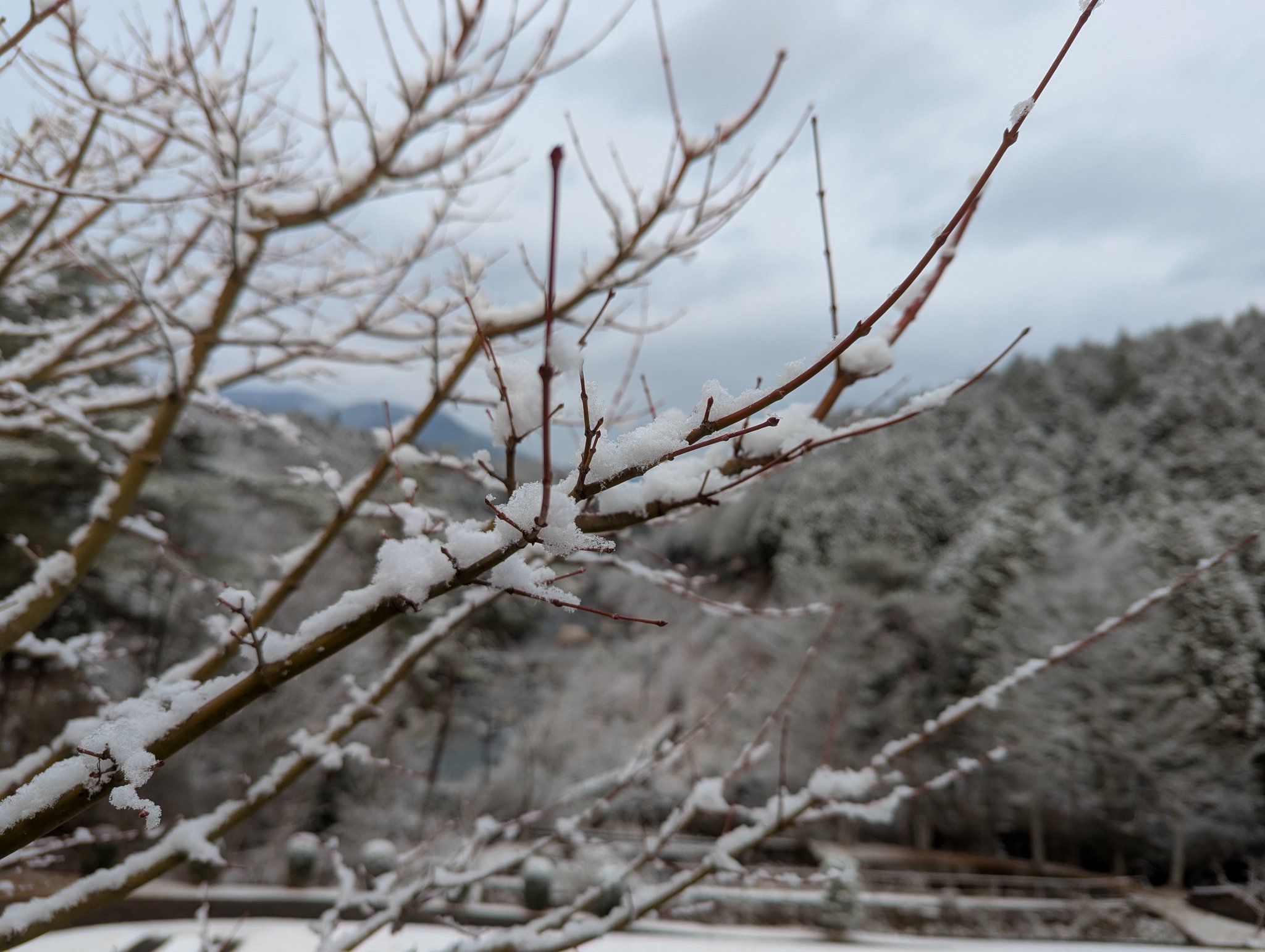雪景圖 下雪风景图片_图品汇
