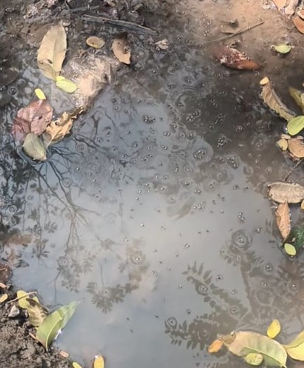 hello_aayushiii's tweet photo. Urgent Alert! 🚨

Sewage water is seeping into our borewell, contaminating groundwater in Chakradhar Nagar, Nagpur. 

We demand immediate action from @ngpnmc  Safe water &amp; hygiene are basic rights—please act before it's too late!

#Nagpur #WaterContamination #HealthCrisis https://t.co/aaim3BJQcp