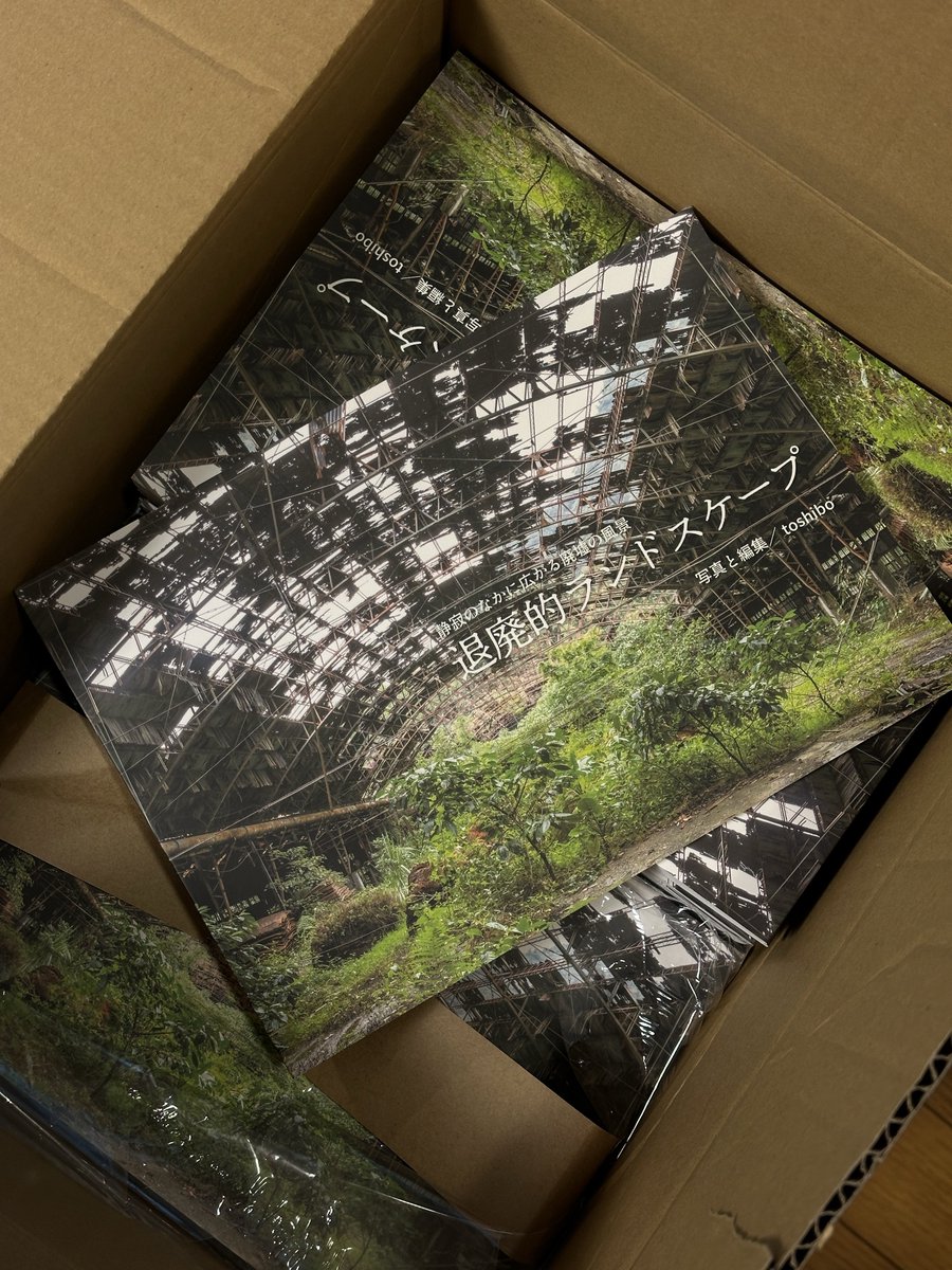 猫の写真がバズったおかげか、刷りすぎた作品集が一箱出荷されていく事