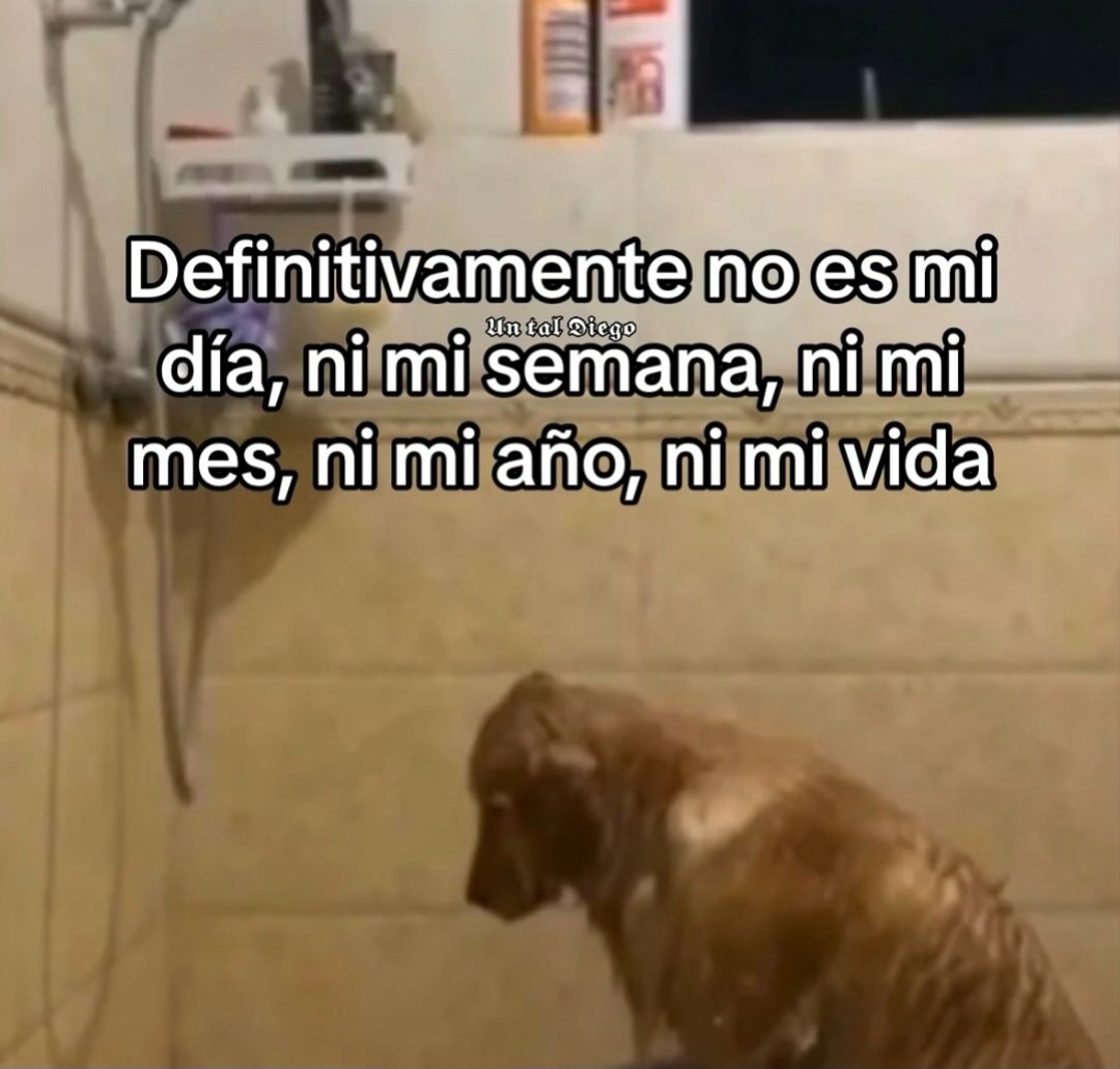 En Júpiter (@en_jupiter_) on Twitter photo 