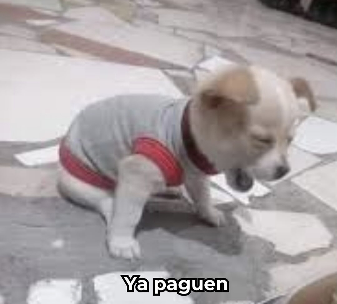En Júpiter (@en_jupiter_) on Twitter photo 