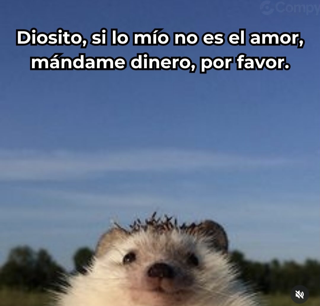 En Júpiter tweet media