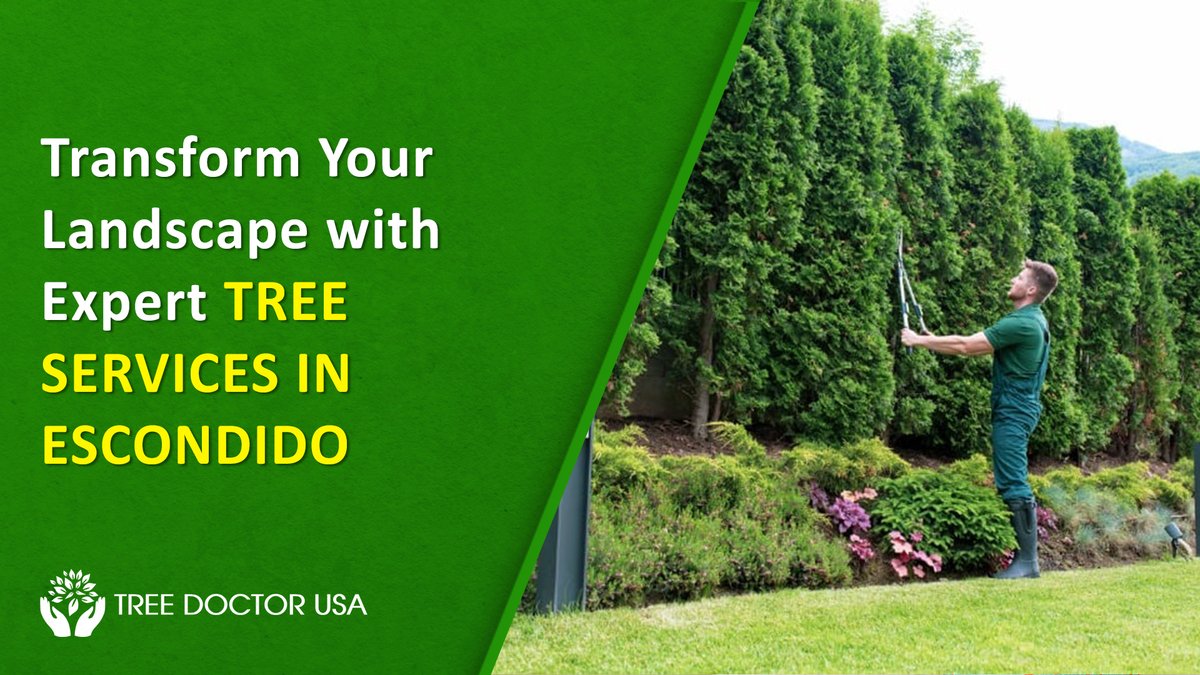 TreeDoctorUSA's tweet image. Give your trees the care they deserve with expert tree healthcare in Escondido! 🌿
💚 Boost soil health, battle pests, and keep your trees thriving. Contact Tree Doctor USA today!

🔗Link: treedoctorusa.com/expert-tree-he…

#TreeWellness #EscondidoTrees #HealthyLandscapes #TreeDoctorUSA