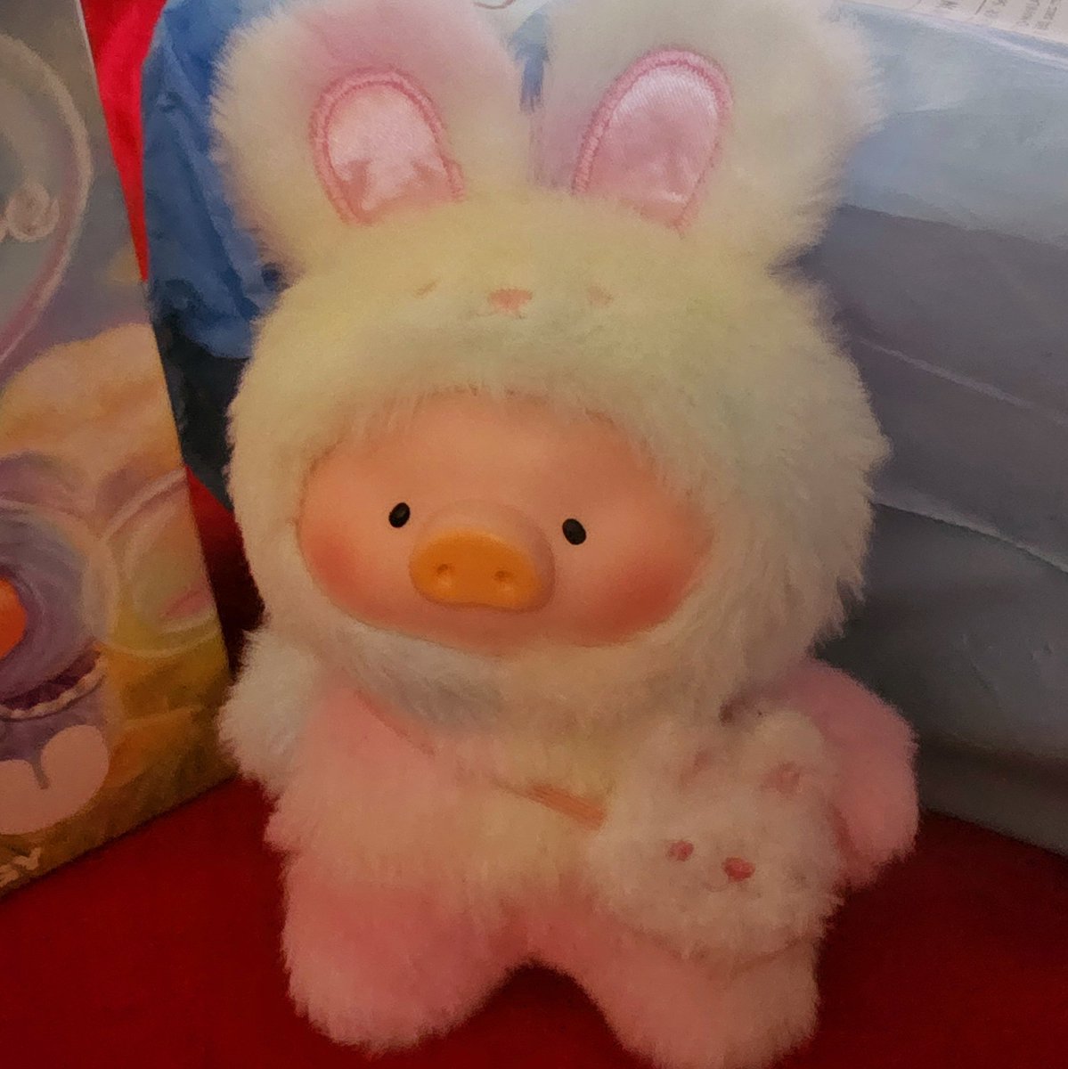 notkenchu💙🩷💛💚💜🐰 tweet media