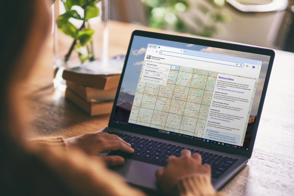 Vanaf vandaag kan iedereen kosteloos de open data van de Nationale Databank Flora en Fauna bekijken! Dat kan via de Flora &amp; Fauna Verkenner. Lees meer hierover op de vernieuwde website. ndff.nl/florafaunaverk…