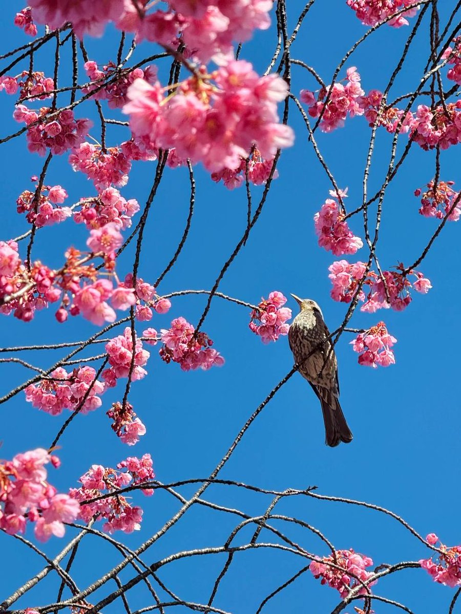 내가 찍은 것 아님