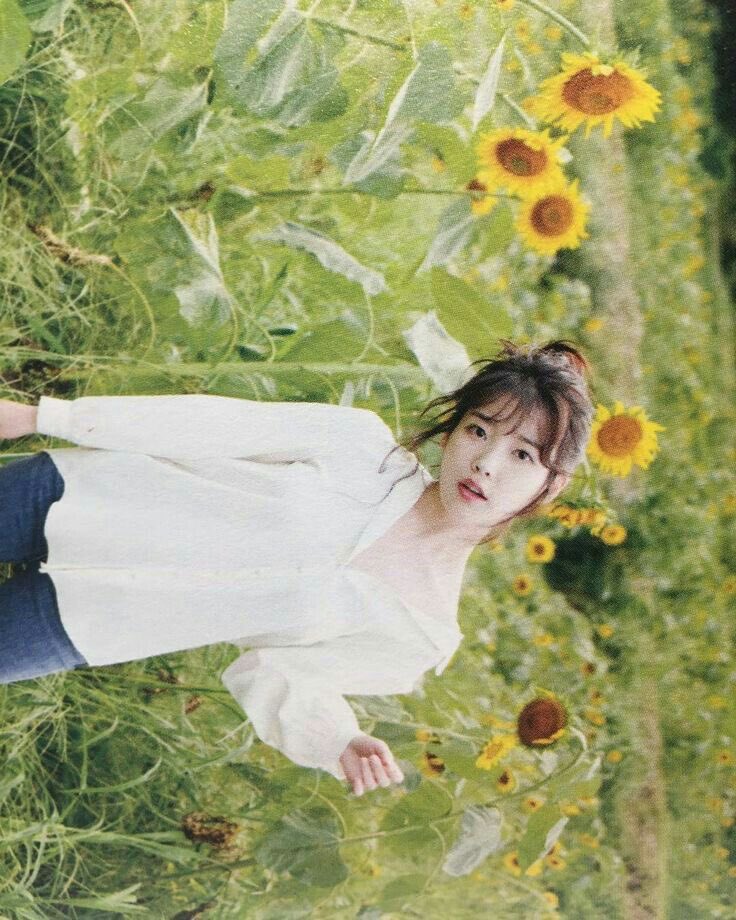 누가 꽃이게 물으면 대답 못 함