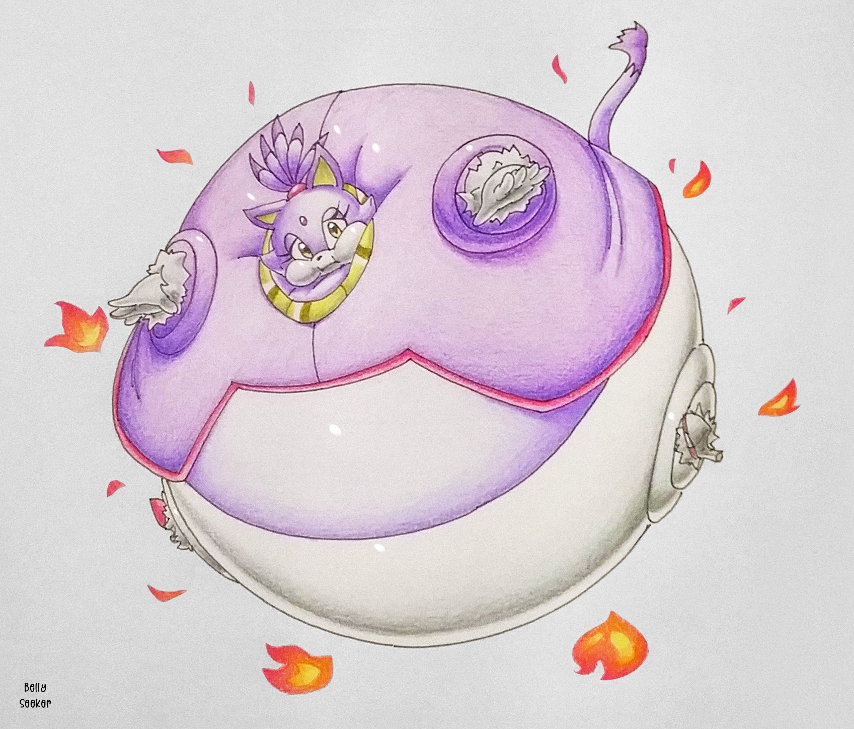Top Cat Inflation Blaze The Cat Inflation Download Blaze The Cat 2019 Cartoon Full